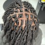 Starter locs! (hair above shoulders)