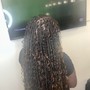 Senegalese Twist