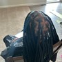 Starter Locs