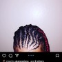 Mini Individual Braids