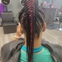 Feed in Braid Ponytail