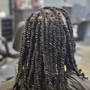 Kinky Twist/Spring Twist/Passion Twist