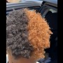 Root Touch Up