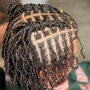 Medium starter locs