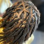 Medium starter locs