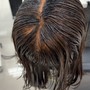 Root Touch Up