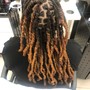 Root Touch Up