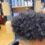 Root Touch Up