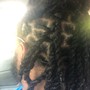 Comb Twist