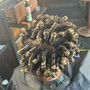 Natural Perm Rods