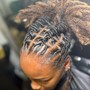 Freeform reconstruct retwist and style package