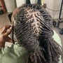 Loc retwist and style