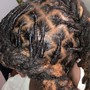 Root Touch Up