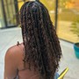 Havana Twists