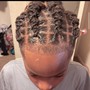 Starter Locs