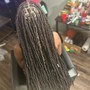 Starter Locs Two Strand