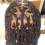 Crochet Locs (individual)