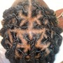 Crochet Locs (individual)