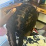 retwist