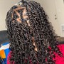 Regular Box Braids medium