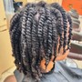 Individual Braids or Two Stand Twist (No Hair Added)