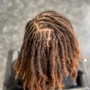 Loc retwist