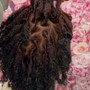 Loc retwist