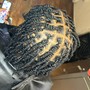 Loc retwist