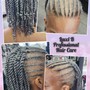 Flat Twists Updo Style  / Hair Added