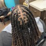 Starter locs