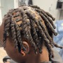 Root Touch Up