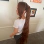 Two Braided Ponytails