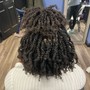 Starter Micro Locs