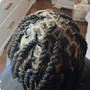 2 Strand Twist Natural Hair