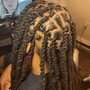 2 Strand Twist Natural Hair