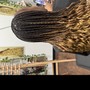 Medium Box Braids