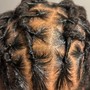 Loc Retwists