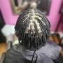 Starter Locs (Small Two Strands)