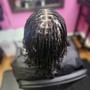 Starter Locs (Small Two Strands)