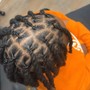 Loc retwist