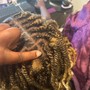 Loc Style-two strand twist with retwist