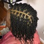 Medium/Large Spring Twists (up to waist length)