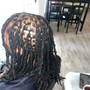 Starter Micro Locs