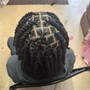 Dread retwist & style