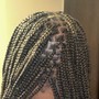 Medium Braids over locs