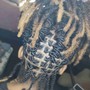 Butterfly Locs/Soft Locs