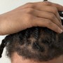 Dread line up/fade