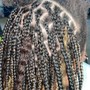 Two Feed in Braids