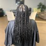 Medium Senegalese Twists