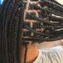 Mini Twists